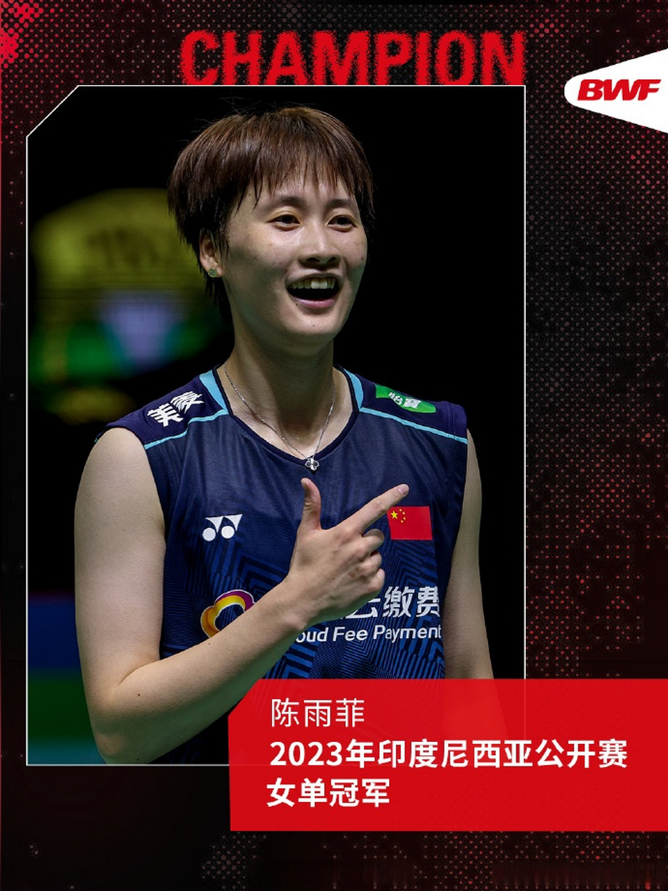 法国羽毛球队爆冷印尼羽毛球队，马琳关键制胜的简单介绍