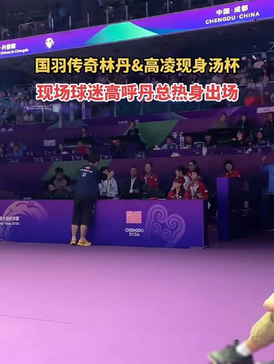 关于马来西亚羽毛球队碾压中国羽毛球队，陶菲克惊艳世界的信息