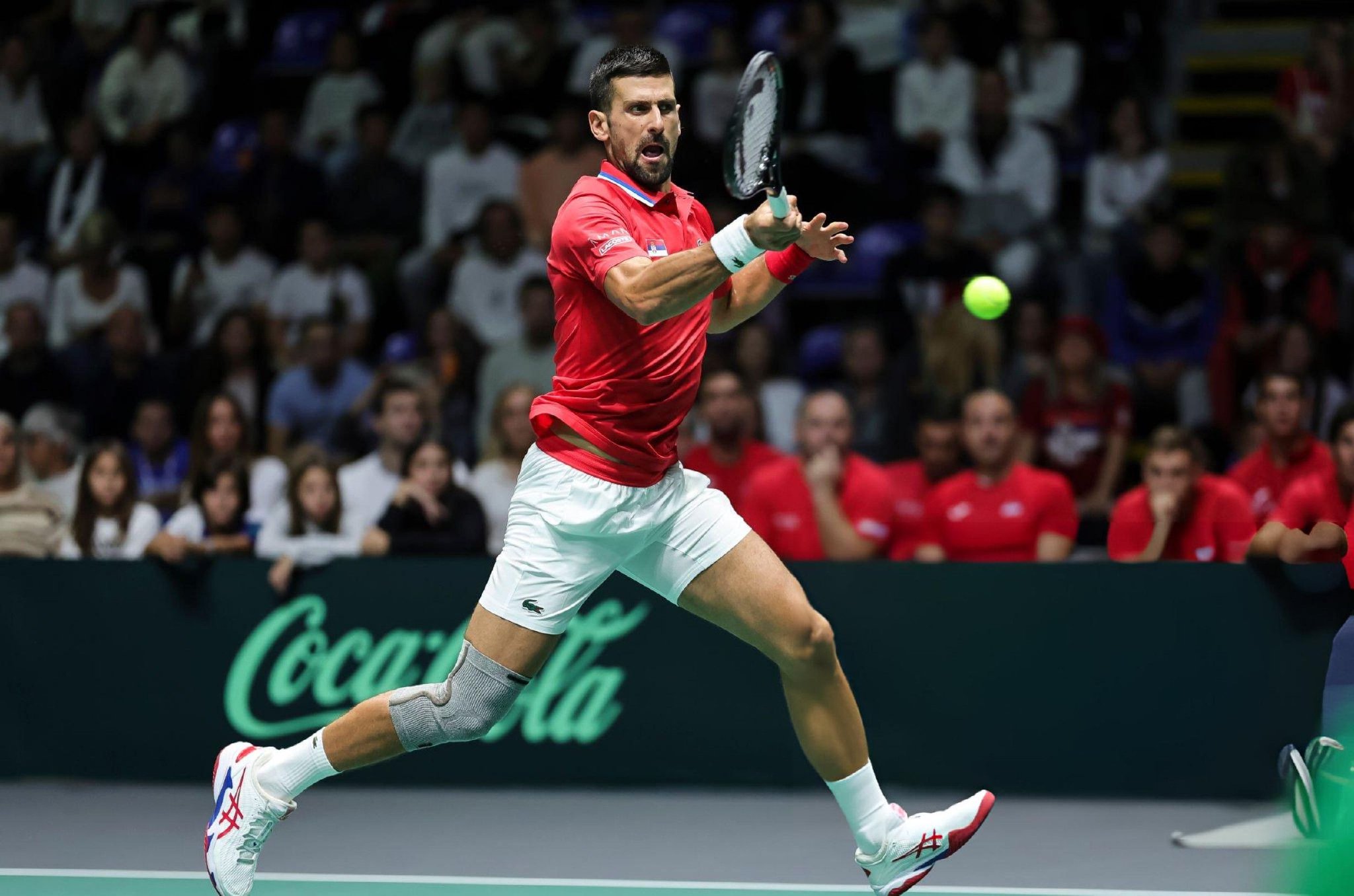 戴维斯杯绝杀蒙特卡洛大师赛，德约科维奇高光表现的简单介绍