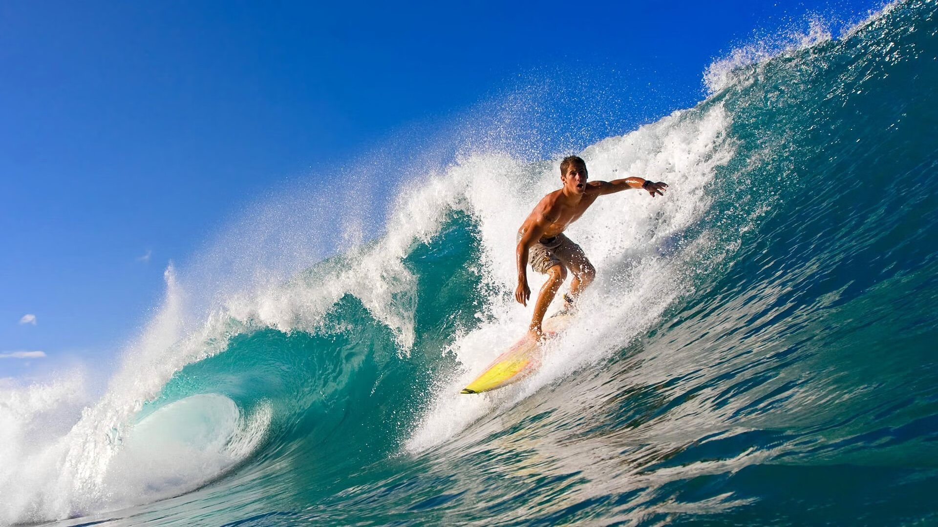 F1新赛季揭幕战与太阳决胜局，速度与意志的双重交响